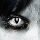 Farbig Wei&szlig;/Schwarze Kontaktlinsen Black Cat 3 Monate