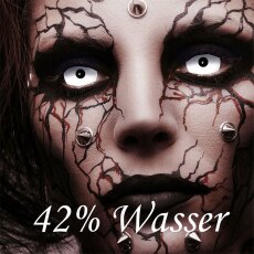 Kontaktlinsen White Zombie Sclera 6 Monate, Halloween Zombie Vampir