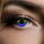 King of Halloween LGBTQ, Regenbogen, Rainbow Jahreslinse ideal für den CSD Christopher Street Day oder einfach aus Fun